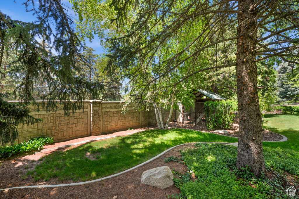View of yard
