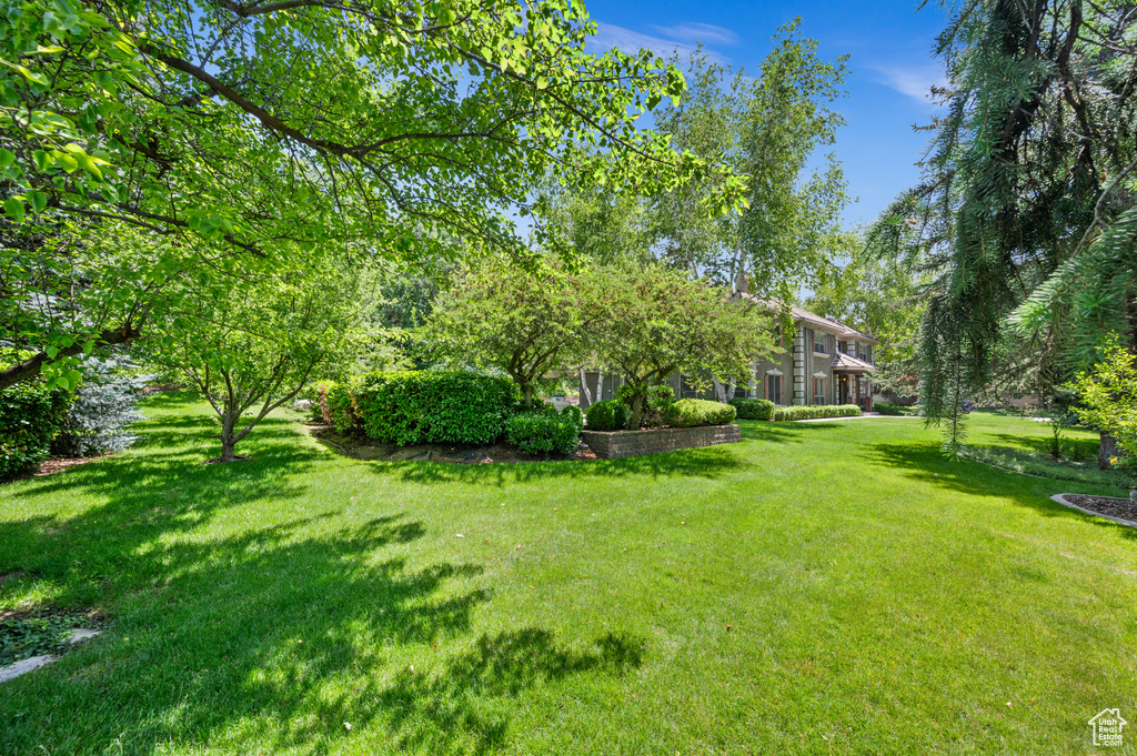 View of green lawn