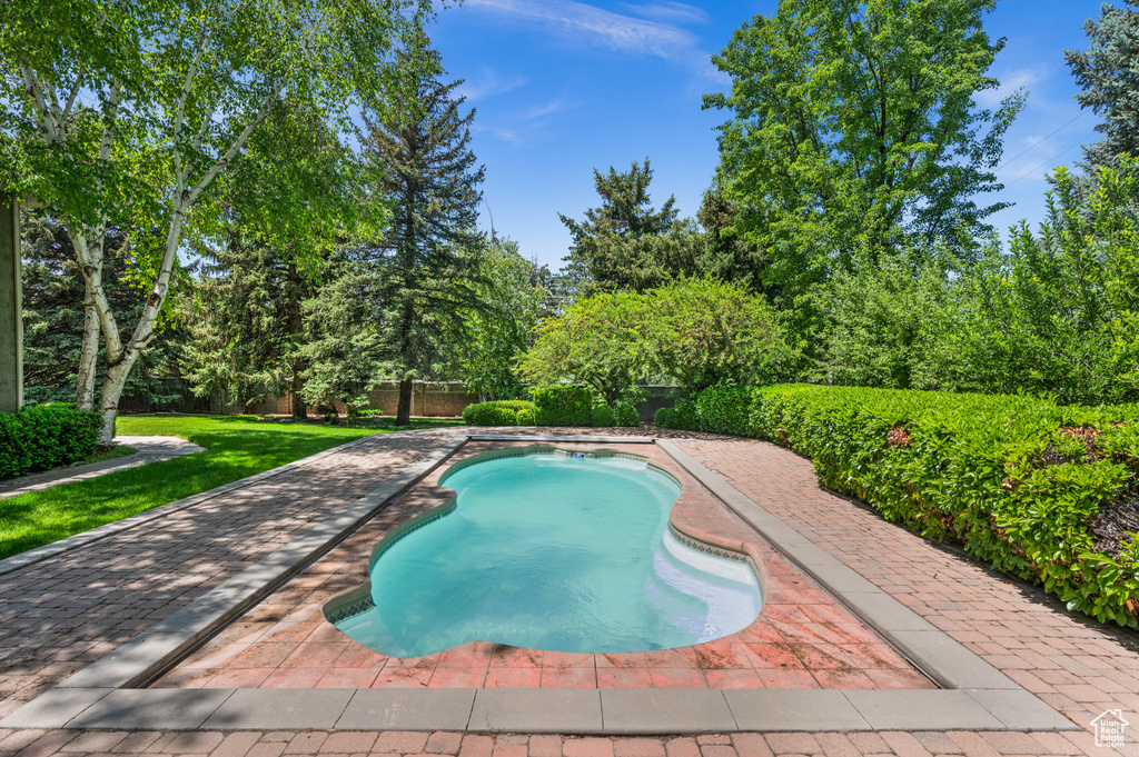 Swimming pool featuring view of scattered trees