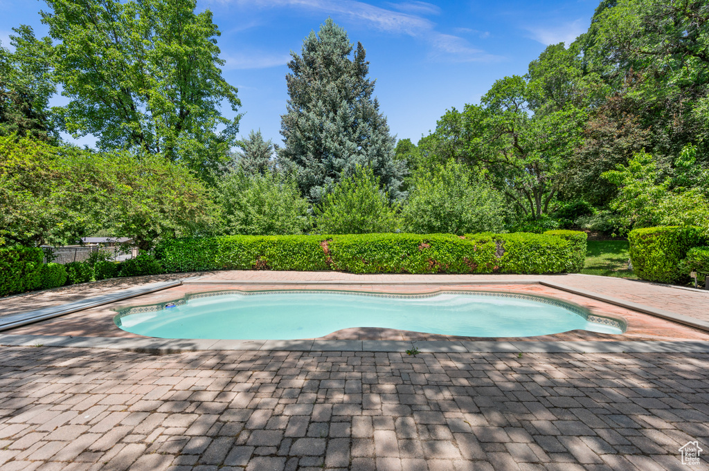 View of pool featuring a patio