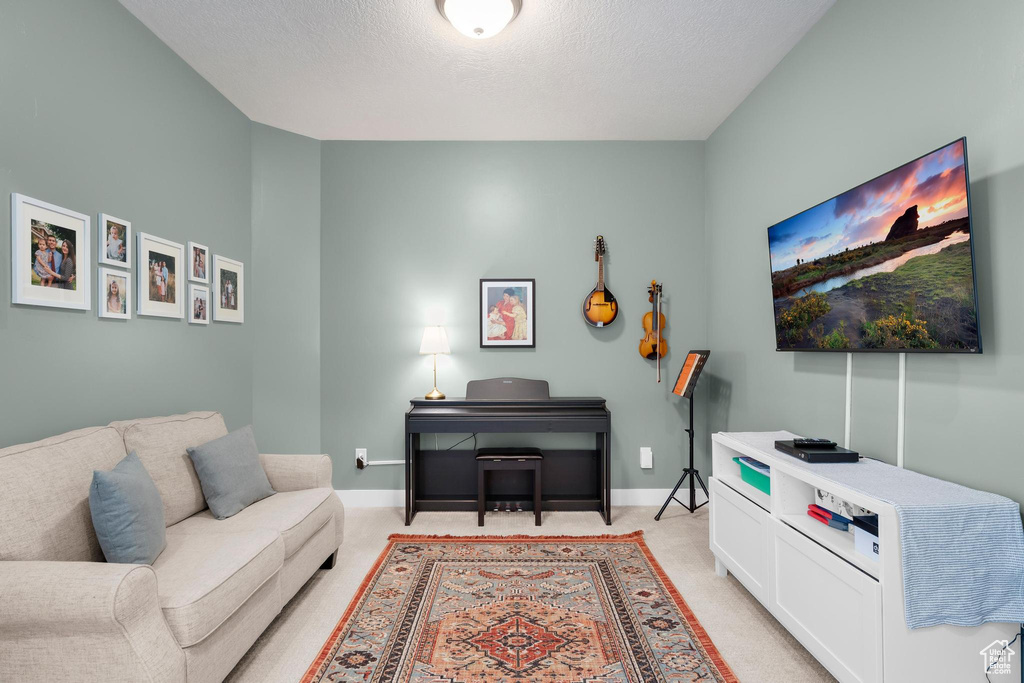 Living area featuring light carpet, baseboards, and a textured ceiling
