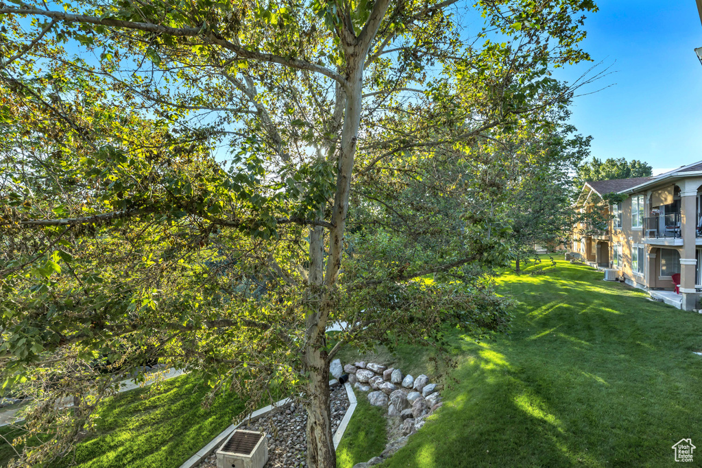 View of grassy yard