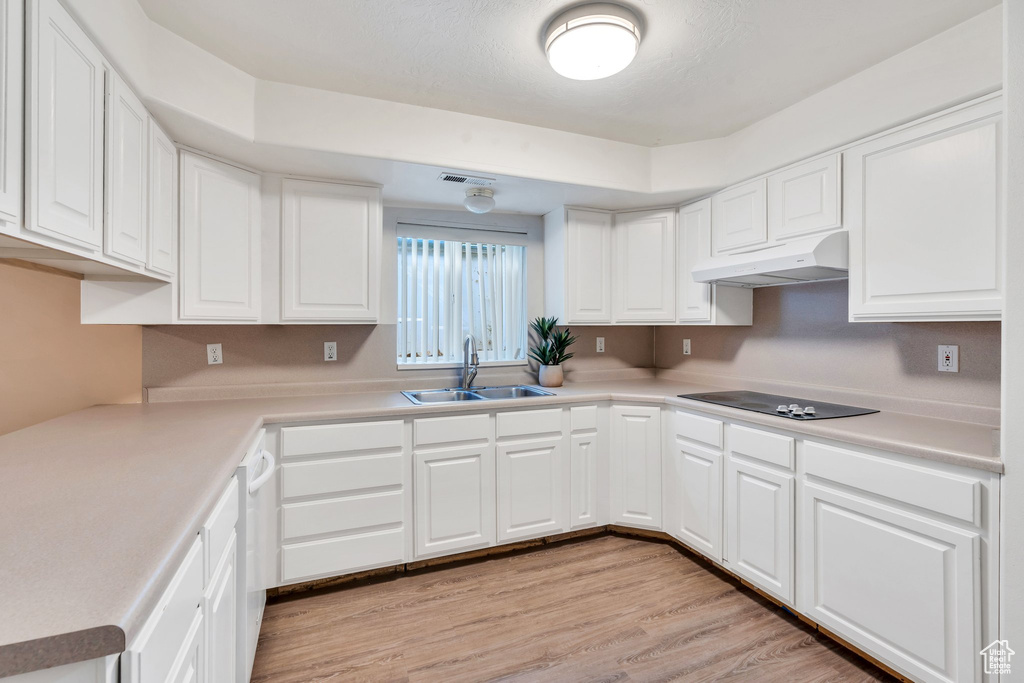 Kitchen with under cabinet range hood, black electric cooktop, white cabinets, light wood-style floors, and light countertops