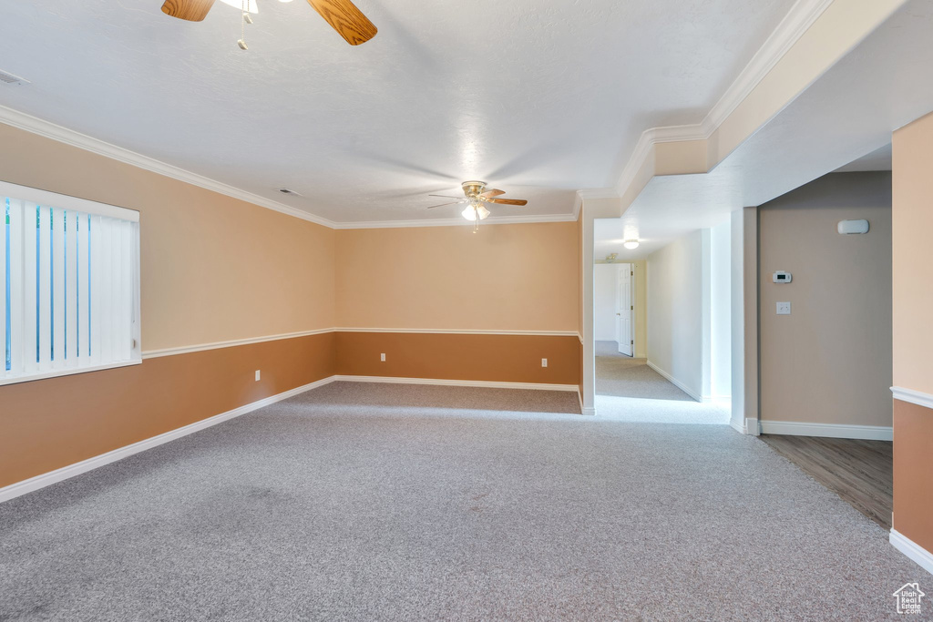 Carpeted spare room featuring ceiling fan and ornamental molding
