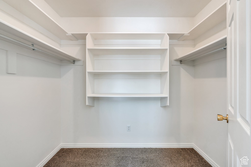 Spacious closet with carpet floors