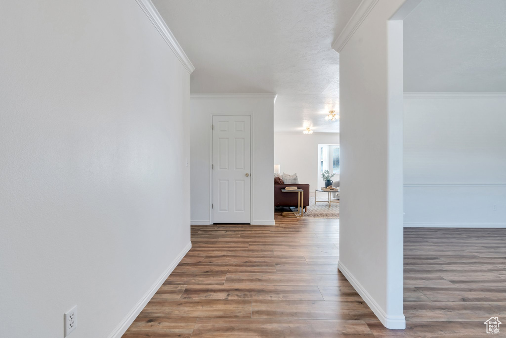 Hallway with ornamental molding and wood finished floors