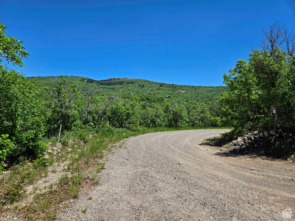 View of dirt / gravel road featuring a view of trees