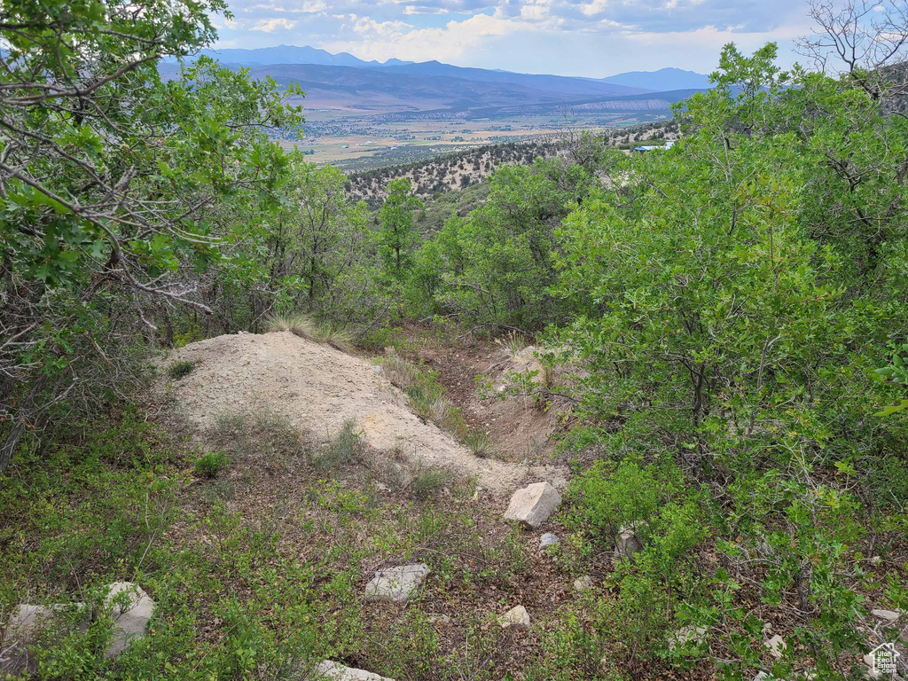 Mountain view