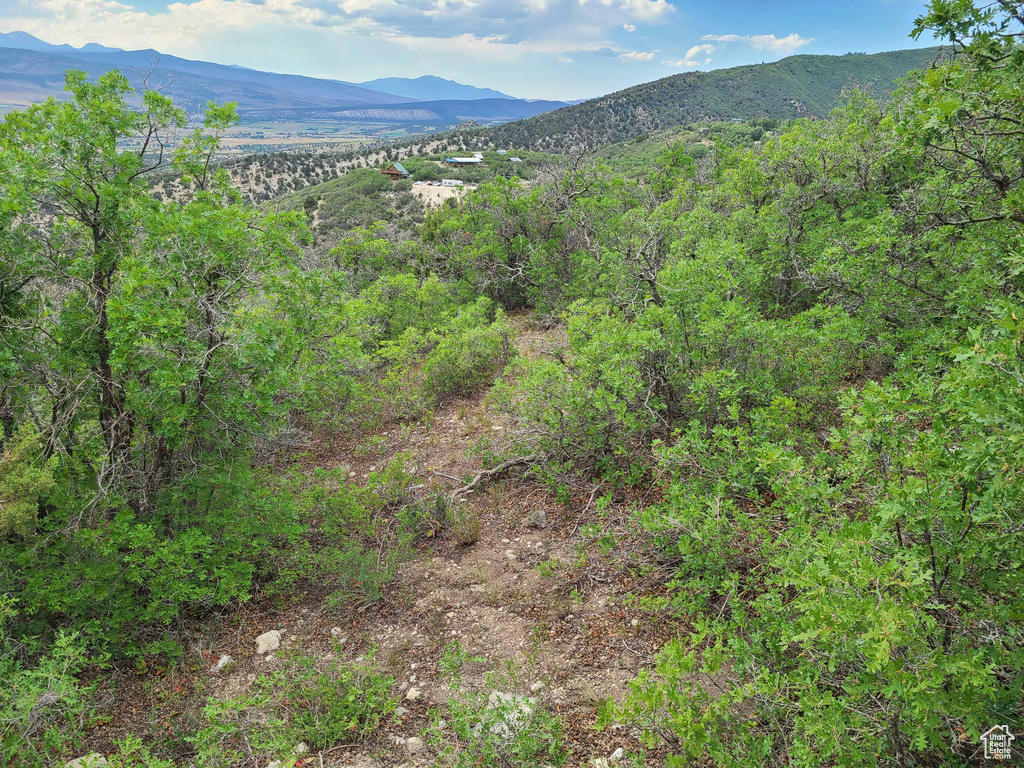 View of mountain backdrop