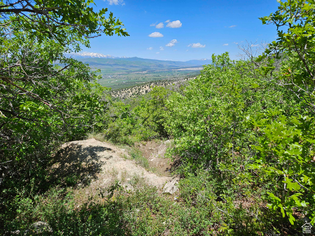 Mountain view with a heavily wooded area