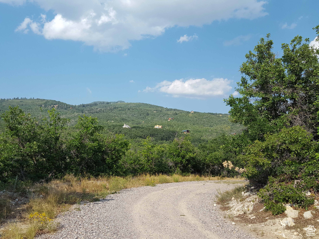 View of dirt / gravel road featuring a forest view and a mountain view