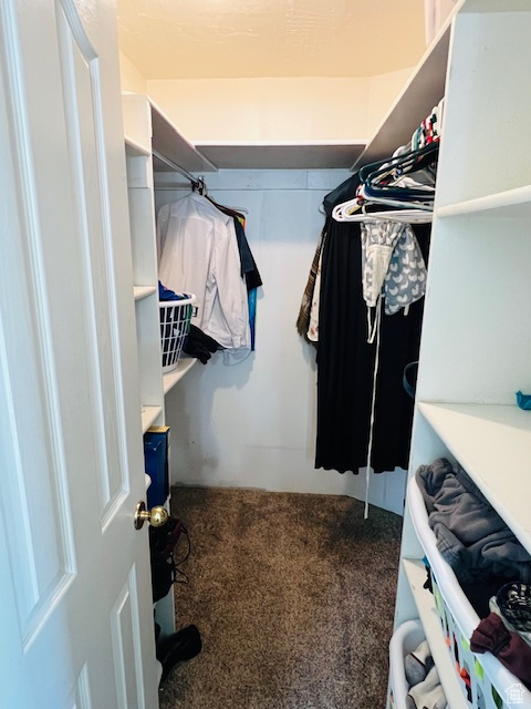 Spacious closet with carpet floors