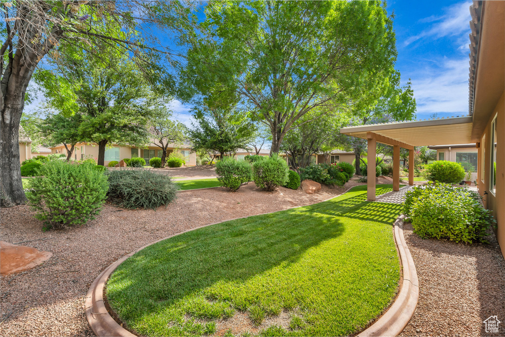 View of grassy yard