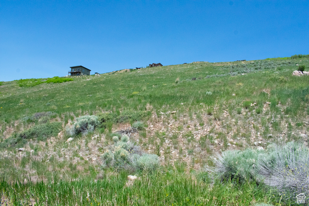 View of yard with a view of rural / pastoral area