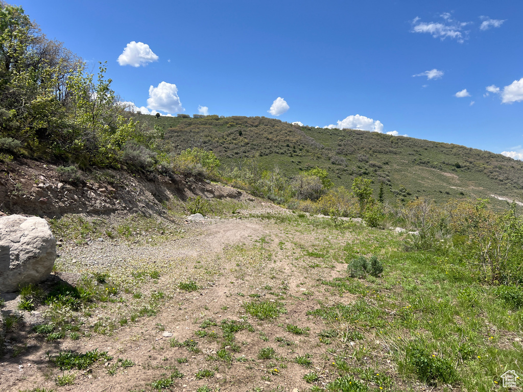 View of mountain background