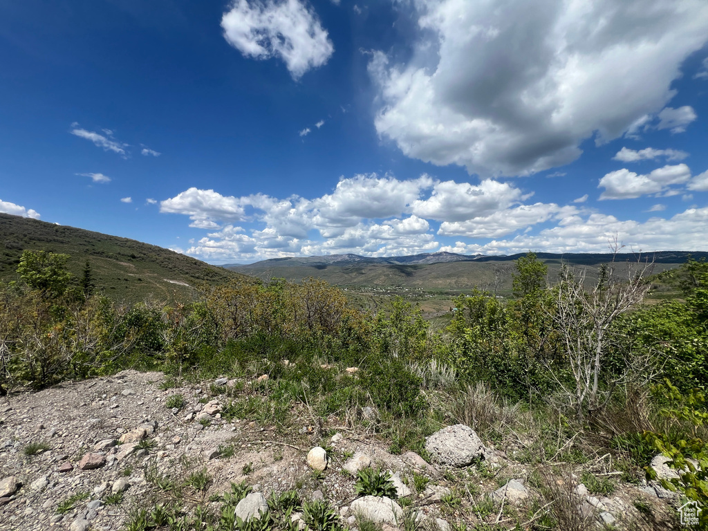Mountain view