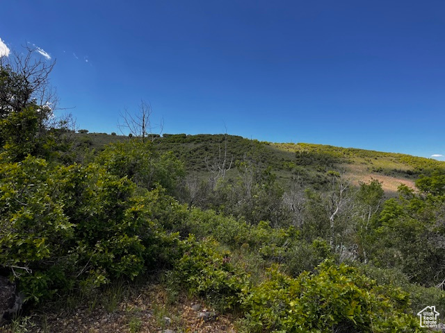View of mountain background