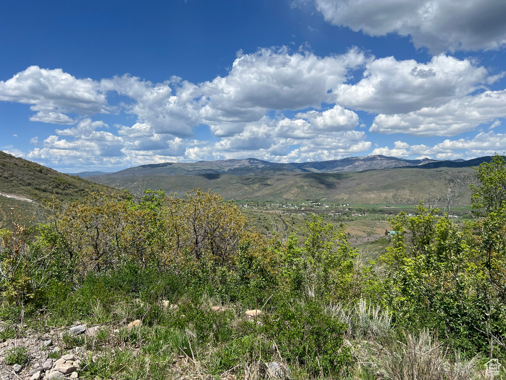 View of mountain background