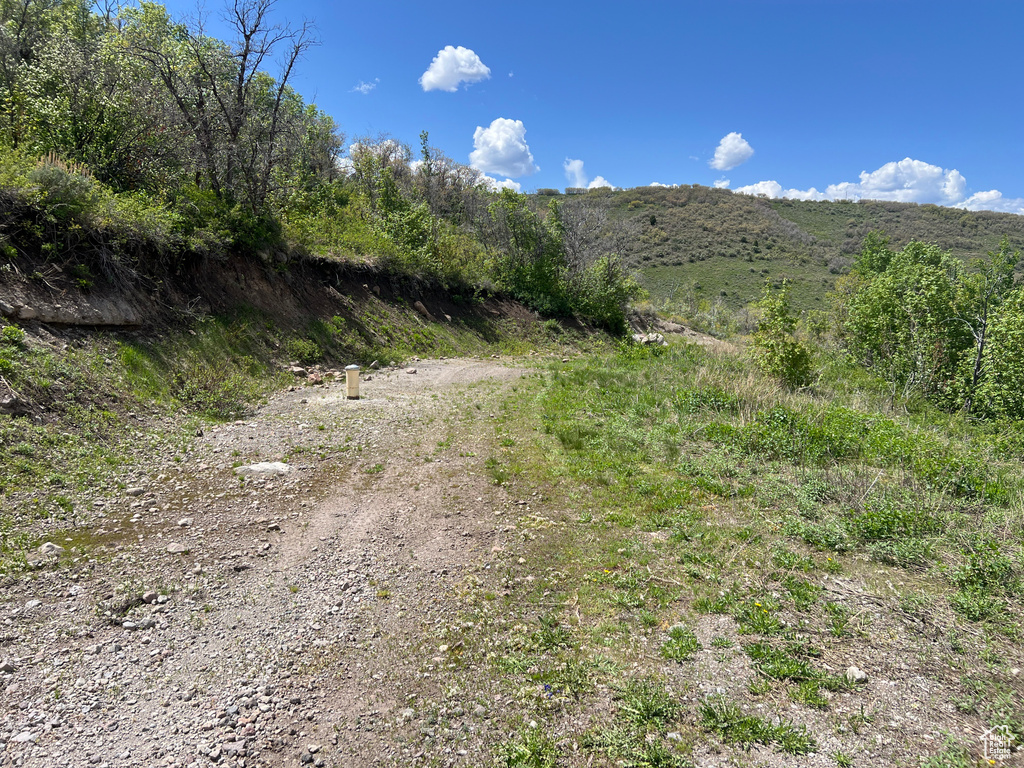 View of road