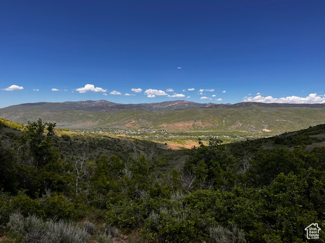 View of mountain backdrop