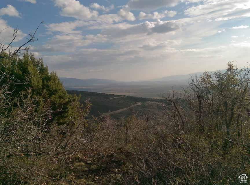 View of mountain background