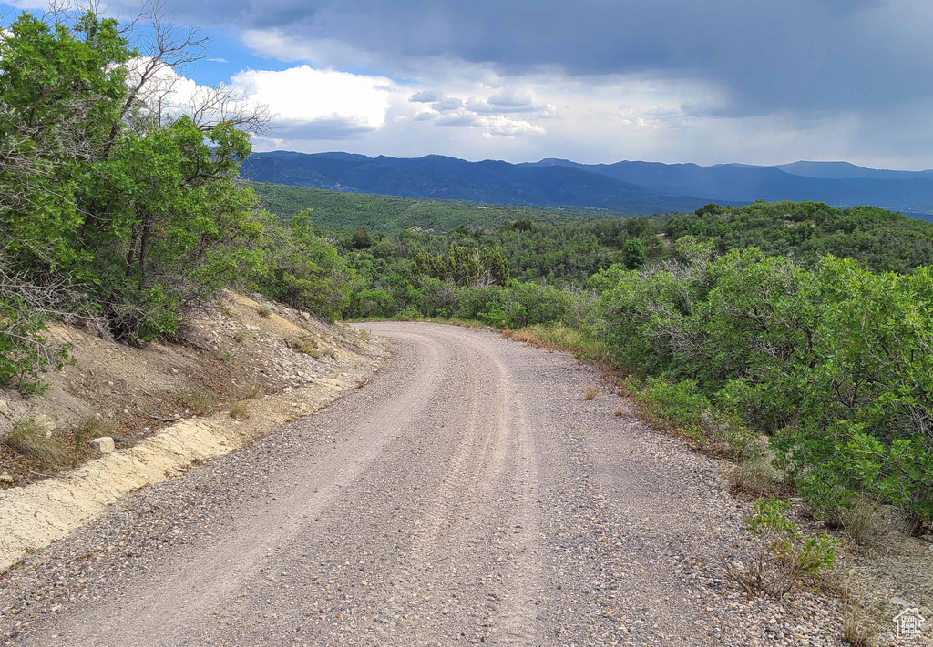View of mountain background with a heavily wooded area