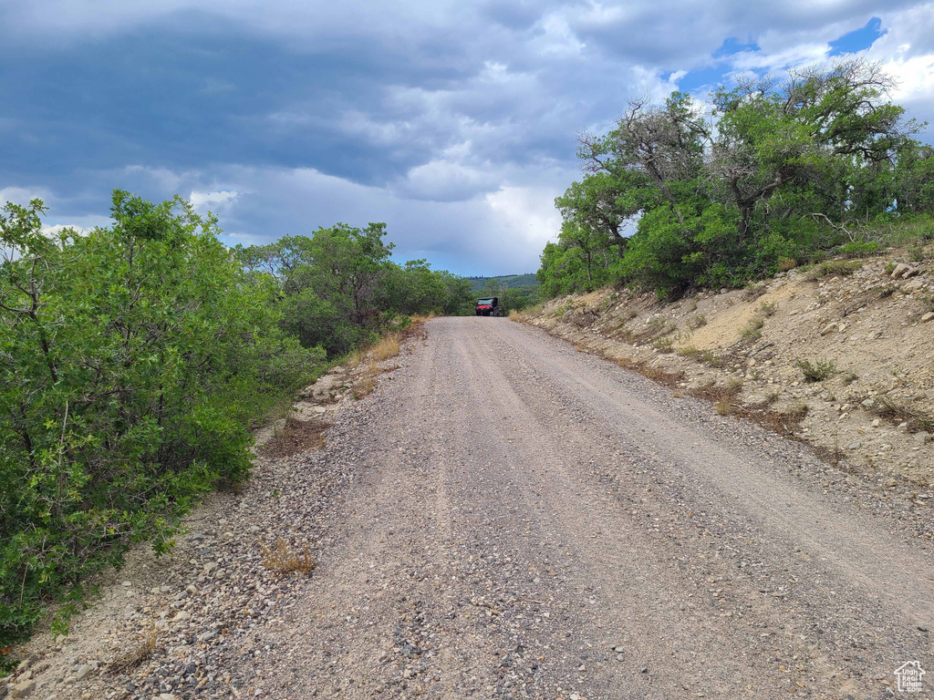 View of dirt / gravel road