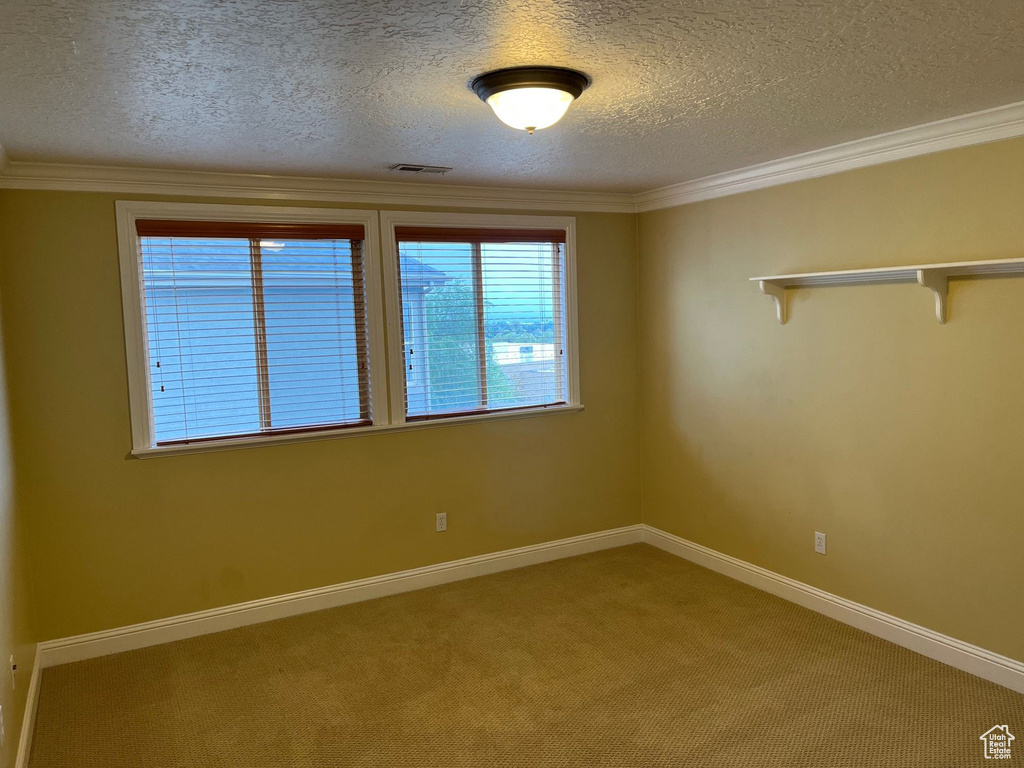 Spare room featuring a textured ceiling, light colored carpet, and ornamental molding