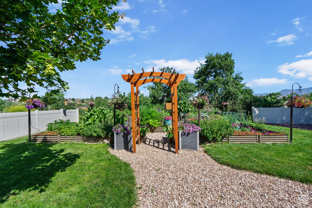 View of yard featuring a garden