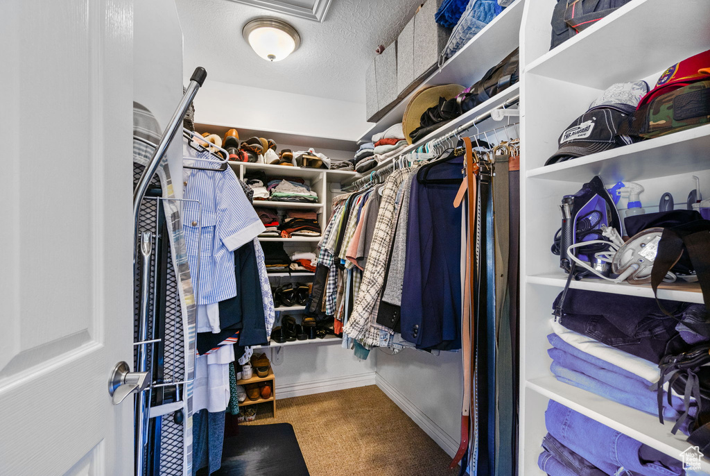 Walk in closet with carpet flooring