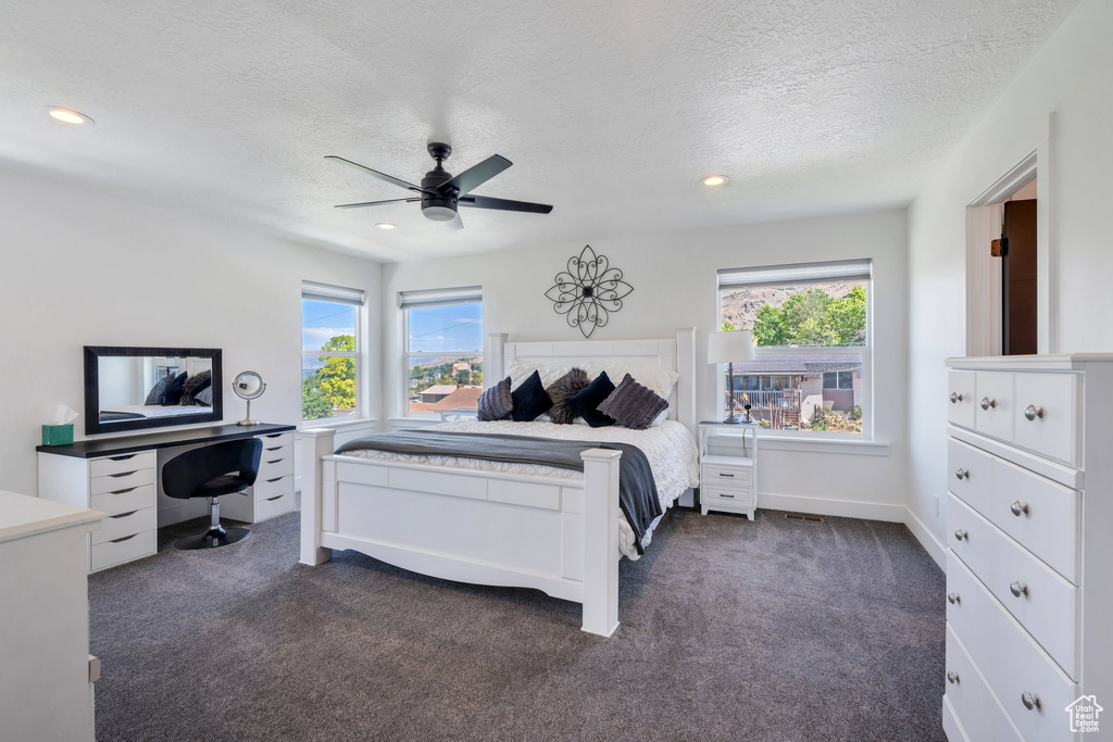 Bedroom featuring dark colored carpet, multiple windows, a textured ceiling, ceiling fan, and recessed lighting