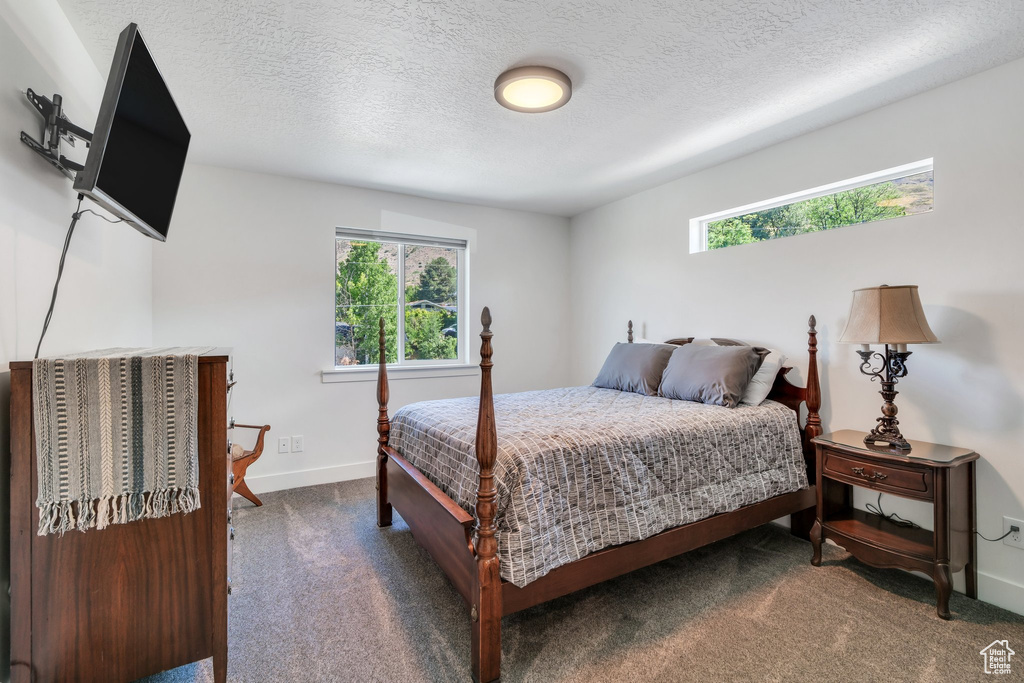 Carpeted bedroom with a textured ceiling