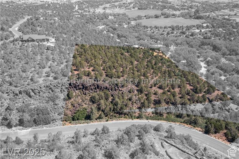 Drone / aerial view of a heavily wooded area