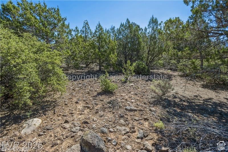 View of undeveloped land