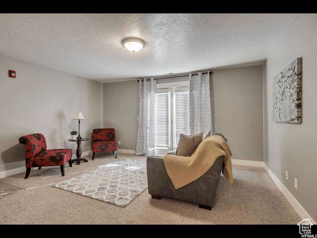 Sitting room with carpet flooring, baseboards, and a textured ceiling