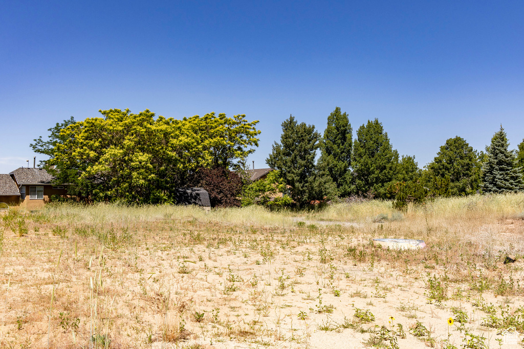 View of nature