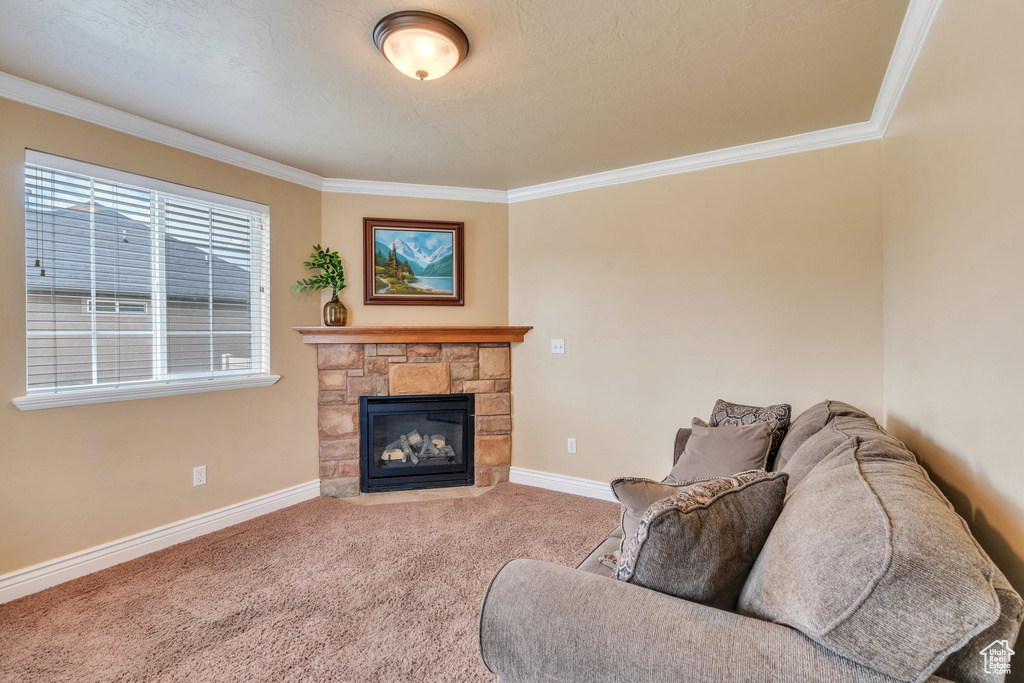 Living room with ornamental molding, carpet floors, and a stone fireplace