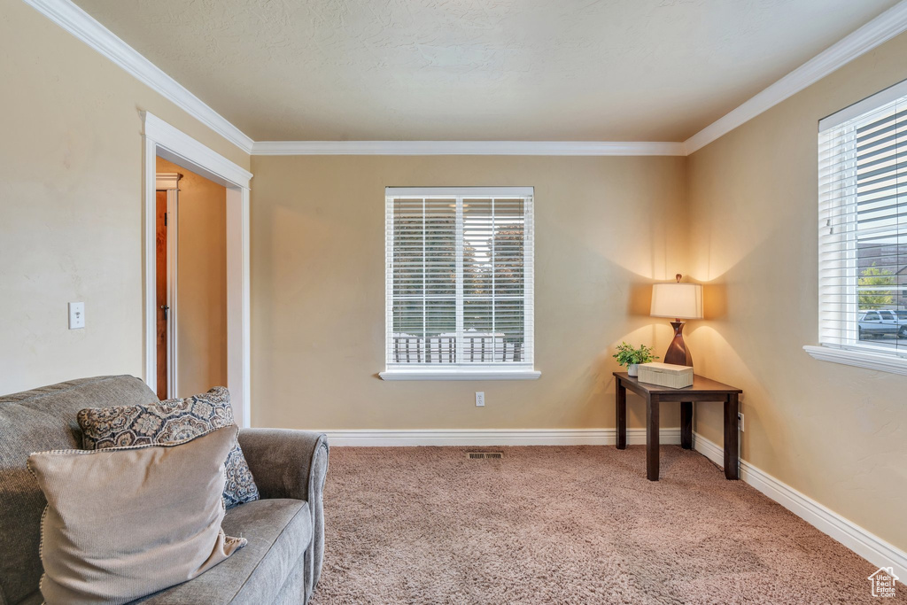 Living area with ornamental molding and carpet