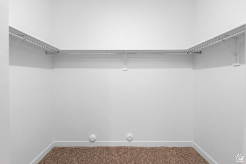 Walk in closet with carpet flooring