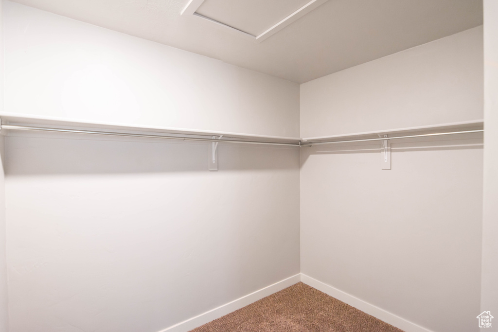 Walk in closet with carpet floors and attic access