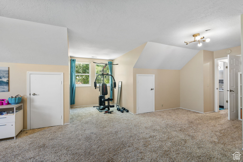Exercise room featuring carpet, a textured ceiling, and vaulted ceiling