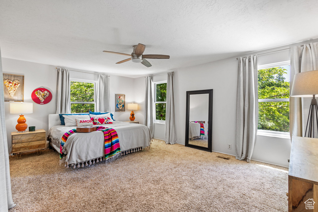 Bedroom featuring multiple windows, carpet, a ceiling fan, and a textured ceiling