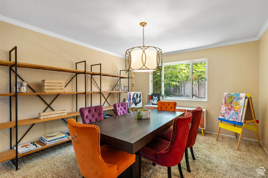 Carpeted dining area featuring crown molding