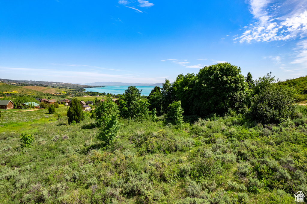 View of local wilderness with a nearby body of water