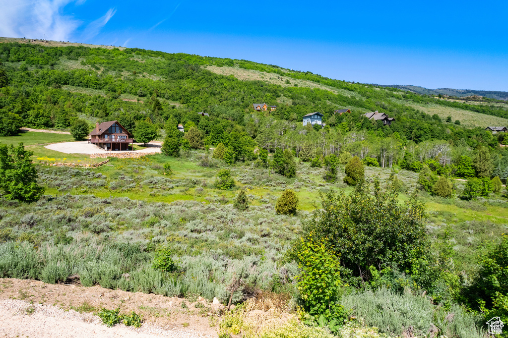 View of subject property with a forest