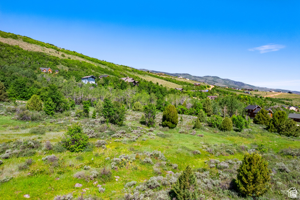 View of mountain background