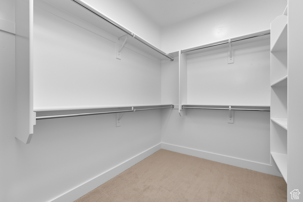 Walk in closet featuring carpet