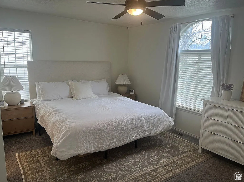 Bedroom with dark colored carpet, ceiling fan, and multiple windows