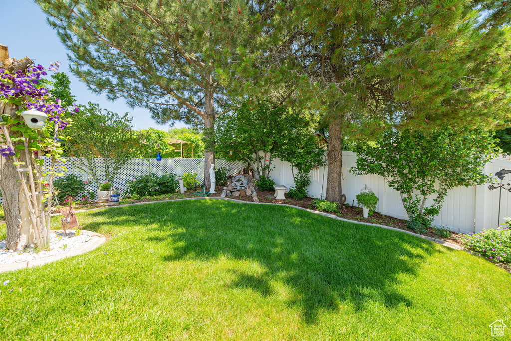 View of fenced backyard