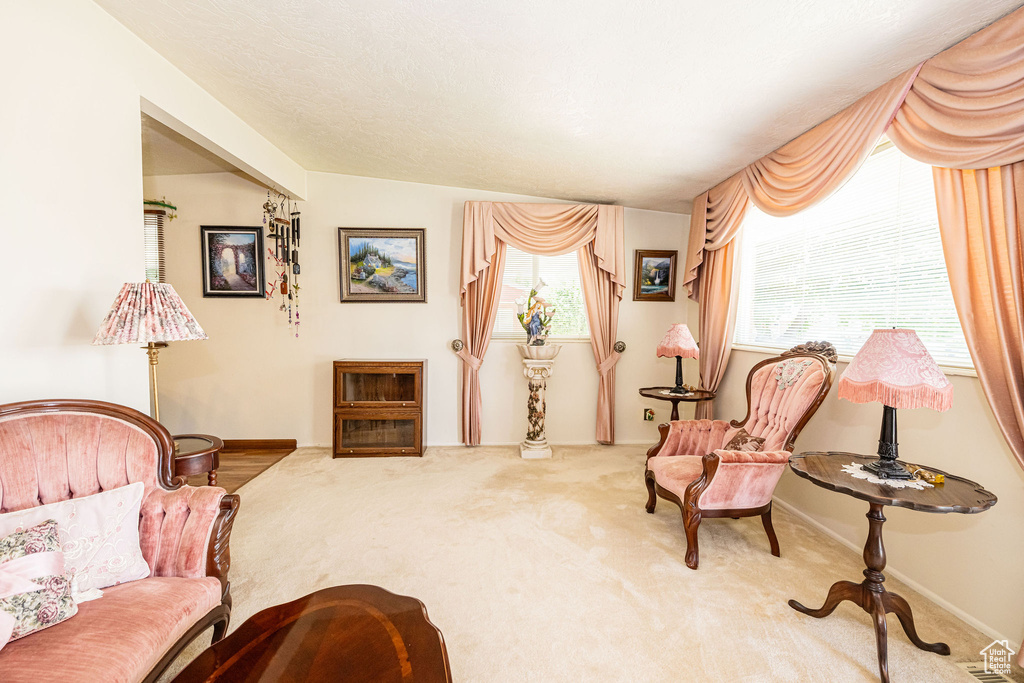 Living area with carpet floors and a fireplace